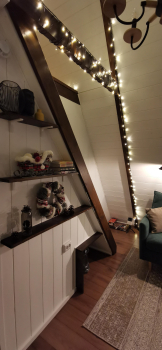 Forest — фото 18