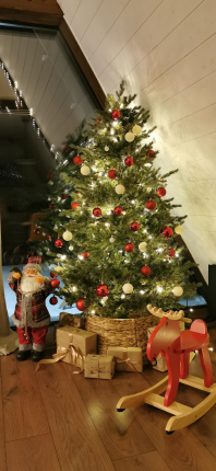 Лес и Небо — фото