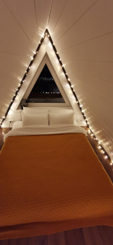 Forest — фото 4