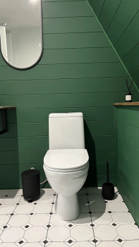 Forest — фото 15