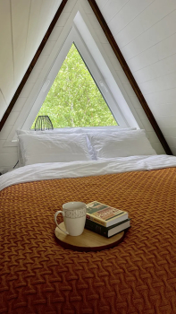 Forest — фото 11