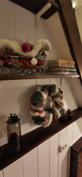 Forest — фото 20