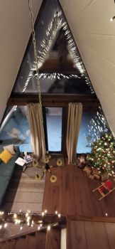 Forest — фото 2