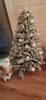 Sky  — фото 12