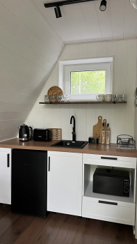 Forest — фото 17