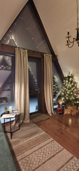 Forest — фото 5