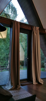 Forest — фото 9