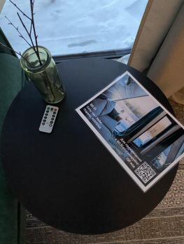 Forest — фото 22