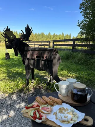 Лес и Небо — фото