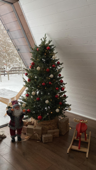 Forest — фото 19