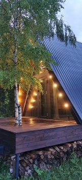 Forest — фото 1