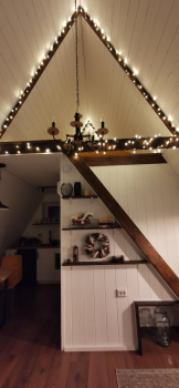 Forest — фото 21