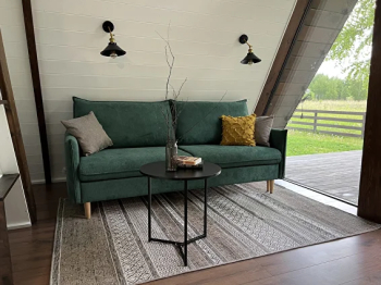 Forest — фото 3