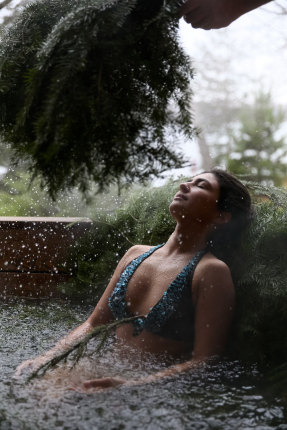 Рябиновый берег — фото