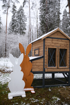 Большой премиум — фото 7