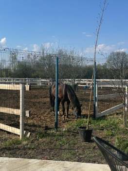 Дом 1+2 — фото 16