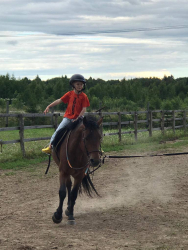 Конные прогулки — фото 4