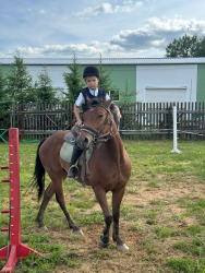 Конные прогулки — фото 3