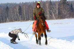 Конные прогулки — фото 1