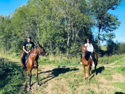 Конные прогулки — фото 2