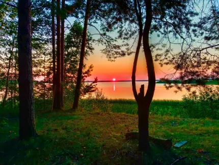 Берег Мологи — фото