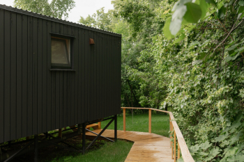 Tiny11 — фото 2