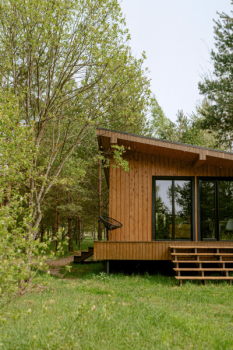 Лес — фото 2