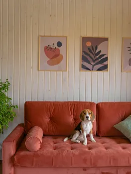 Поле — фото 14