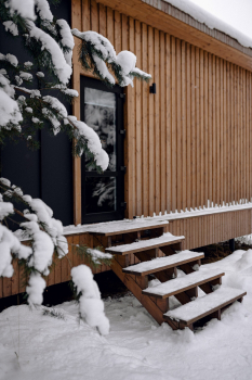 Лес — фото 4