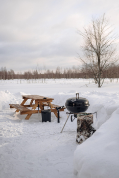 Поле — фото 7