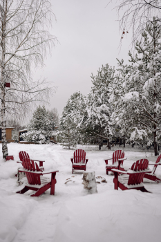 Лес — фото 7