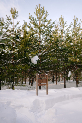 Баня — фото 9