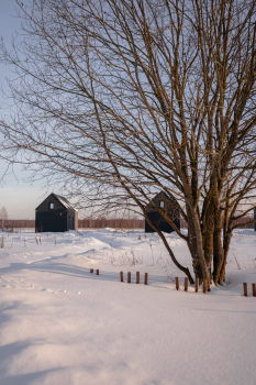 Поле — фото 2