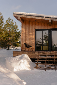 Лес — фото 1