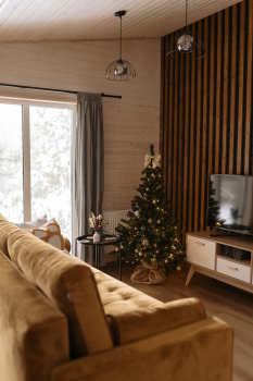 Лес — фото 9