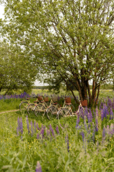 Велопрогулки — фото 1