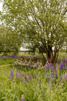 Поле — фото 20