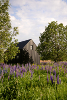 Поле — фото 18