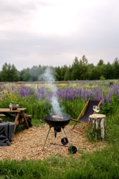 Поле — фото 17