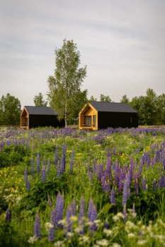 Роща — фото 1