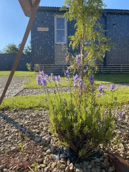 РАНЧО с горячим чаном — фото 24