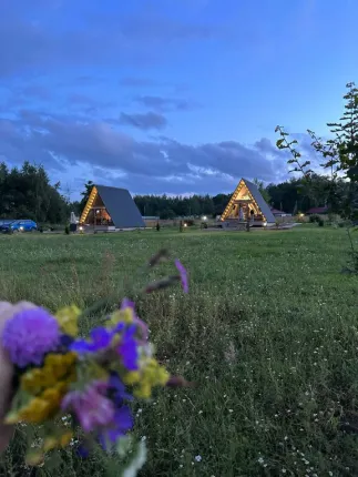 Лесополье — фото