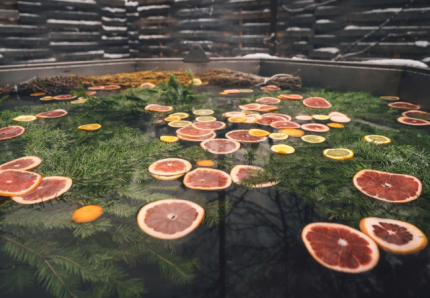 Лесополье — фото