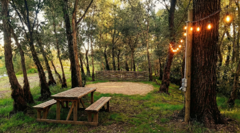 Кемпинг комфорт — фото 2