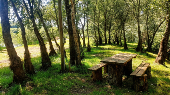 Кемпинг комфорт — фото 3