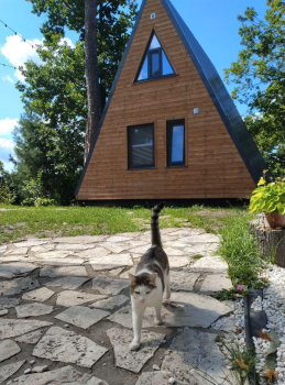 Дом А-фрейм — фото 15