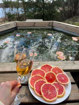 Дом на Холме с Сибирским чаном — фото 10