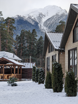 Силагор — фото