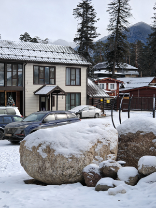 Силагор — фото