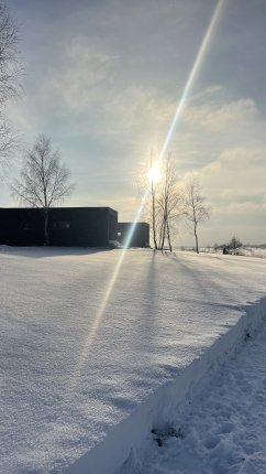 Архангельские дачи (Дом Тихий берег) — фото